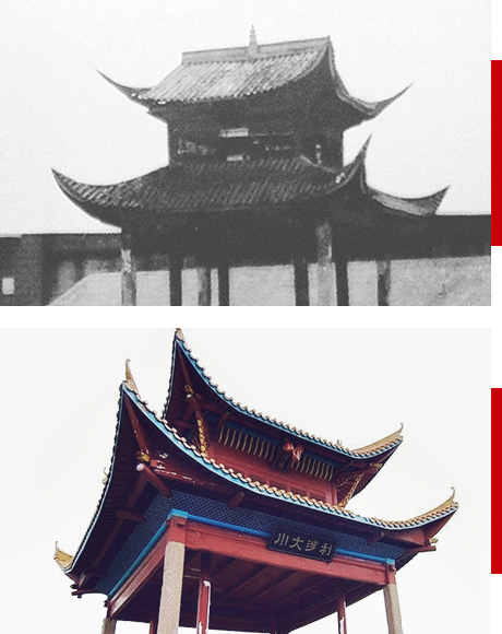 1514385972037032082.jpg c13.jpg