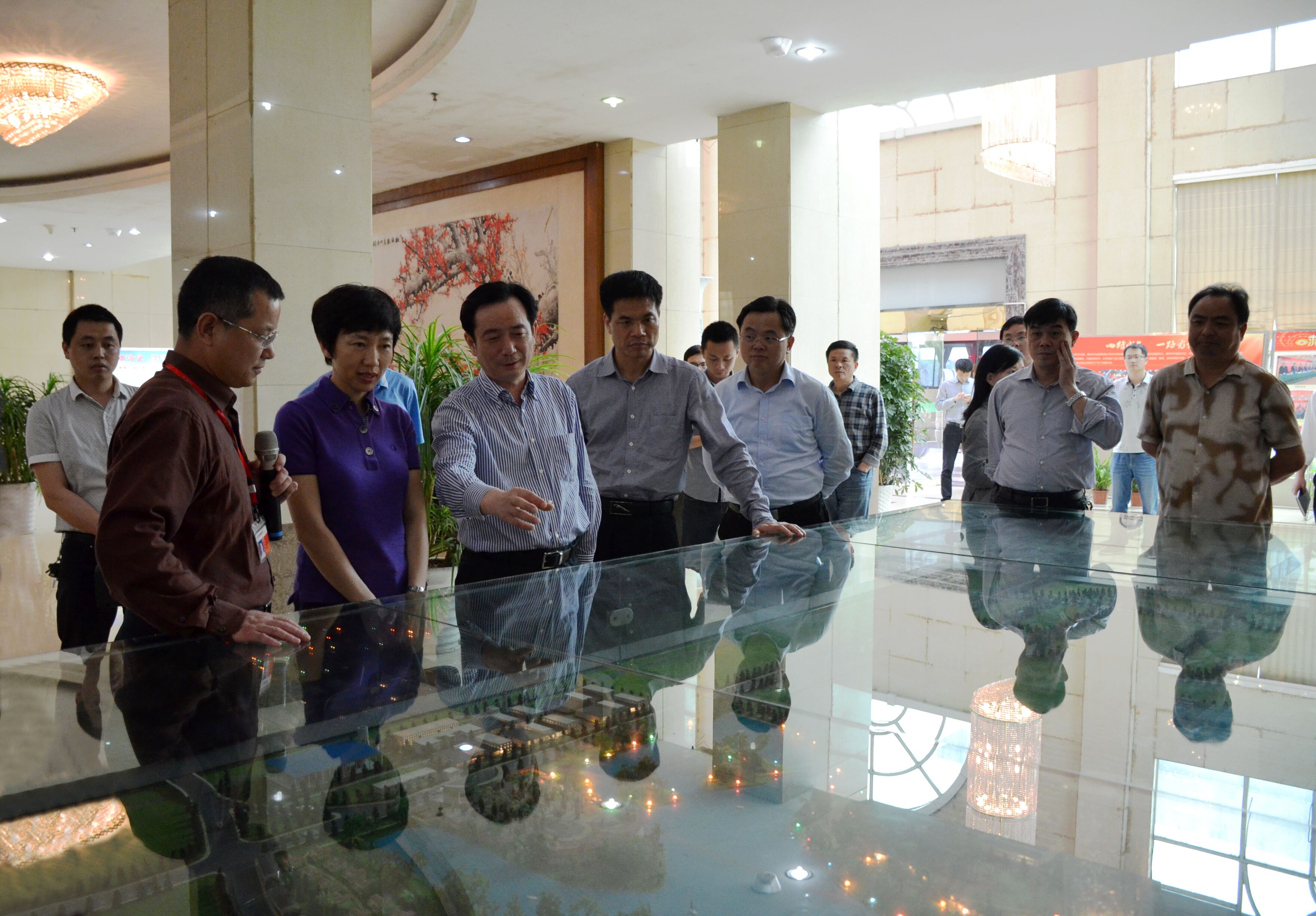 國務(wù)院促進民間投資專項督查組蒞臨我市司考察調(diào)研